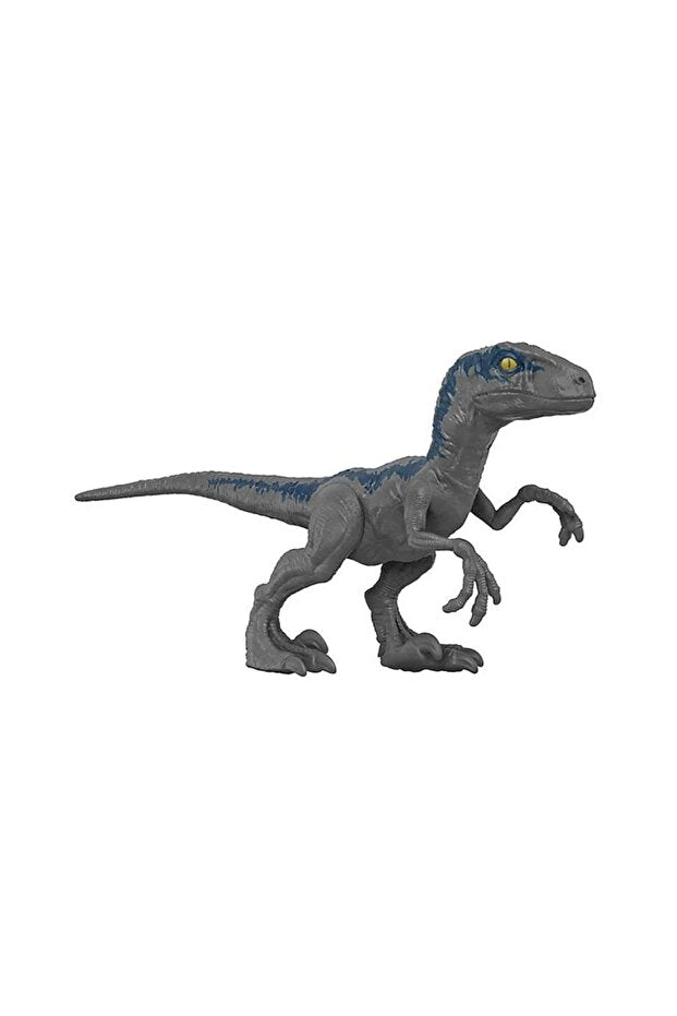 Jurassic World Velociraptor Blue Dinozor Figürü | Mattel Koleksiyonluk Figür