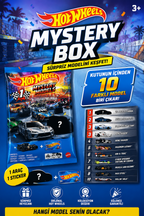 Hot Wheels Mystery Models Sürpriz Oyuncak Araba + Sticker | Mattel NO:1